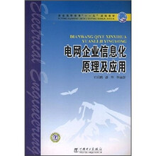普通高等教育十一五规划教材：电网企业信息化原理及应用