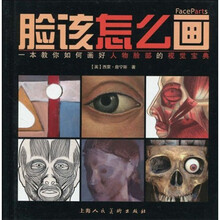 脸该怎么画