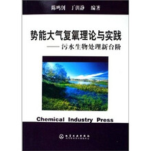 势能大气复氧理论与实践:污水生物处理新台阶