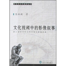 文化视阈中的影像叙事