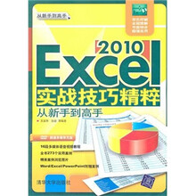Excel 2010实战技巧精粹从新手到高手（附光盘）