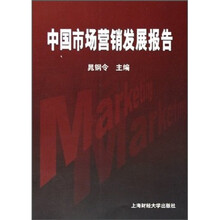 中国市场营销发展报告