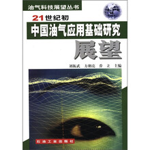 21世纪初中国油气应用基础研究展望