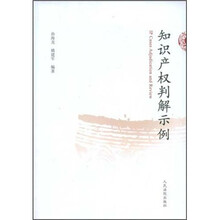 知识产权判解示例