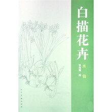 花卉白描:水仙
