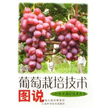 葡萄栽培技术图说