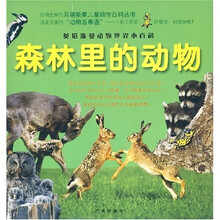 贝塔斯曼儿童动物百科丛书：森林里的动物