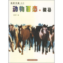 动物百态（骏马）