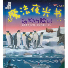 魔法夜光书：动物历险记