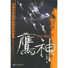 鹰神:中国空军创世纪背后的故事