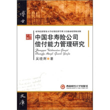中国非寿险公司偿付能力管理研究