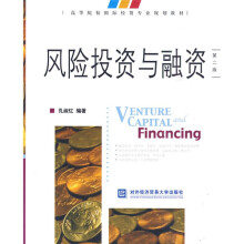高等院校国际经贸专业规划教材：风险投资与融资（第2版）
