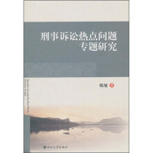 刑事诉讼热点问题专题研究