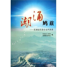潮涌鸠兹:芜湖县民营企业风采录