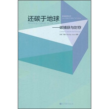还碳于地球：碳捕获与封存