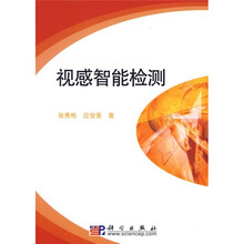 视感智能检测