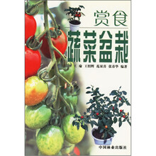 赏食蔬菜盆栽