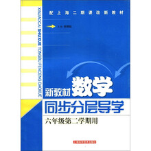新教材数学同步分层导学（6年级第2学期用配上海二期课改新教材）