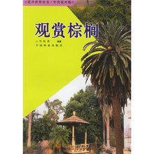 观赏棕榈
