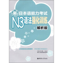 新日本语能力考试N3语法强化训练(解析版)