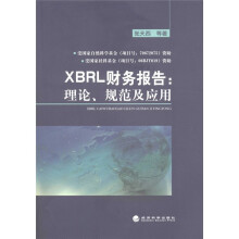 XBRL财务报告:理论、规范及应用