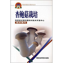 杏鲍菇栽培