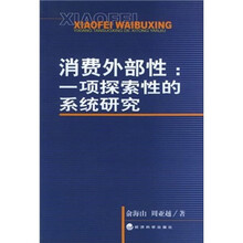 消费外部性：一项探索性的系统研究