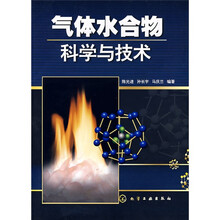 气体水合物科学与技术