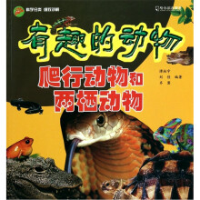 有趣的动物：爬行动物和两栖动物