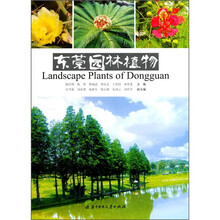 东莞园林植物