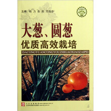 大葱圆葱优质高效栽培/社会主义新农村建设文库