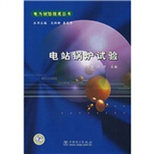 电站锅炉试验