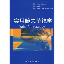 实用腕关节镜学（翻译版）