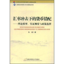 汇率冲击下的货币错配:理论模型、实证测度与政策选择