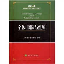 个体、团队与组织