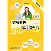 财务管理提升效率的480个Word/Excel技巧（双色版）