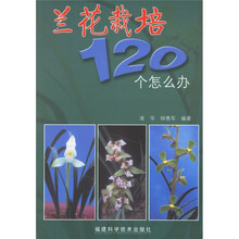 兰花栽培120个怎么办