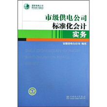 市级供电公司标准化会计实务