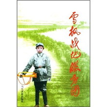 雪枫战地服务团