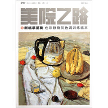 美院之路新临摹范例：色彩静物灰色调训练临本