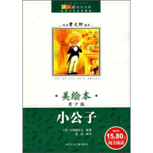 成长文库·世界少年文学精选：小公子（美绘本）（青少版）