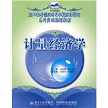 21世纪全国应用型本科财经管理系列实用规划教材:计量经济学