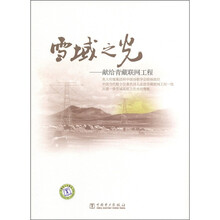 雪域之光：献给青藏联网工程