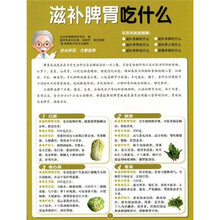 滋补脾胃吃什么