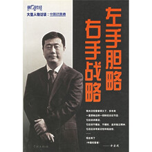 左手胆略,右手战略