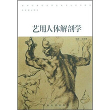 美术技法理论:艺用人体解剖学