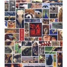 美丽中国
