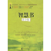 智慧书（青少版）