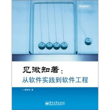 见微知著:从软件实践到软件工程