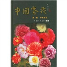 中国茶花：华东茶花（第1集）